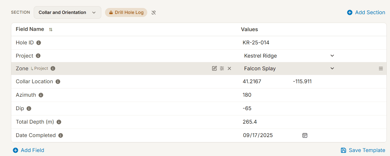 Eforge field record with typed fields and a reusable template